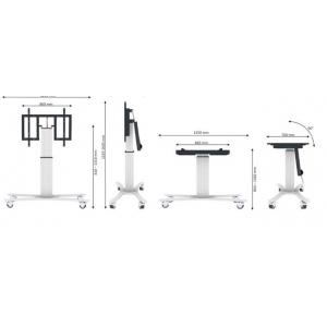 TV SET ACC FLOOR STAND 42-100"/PLASMA-M2500TSILVER NEWSTAR
