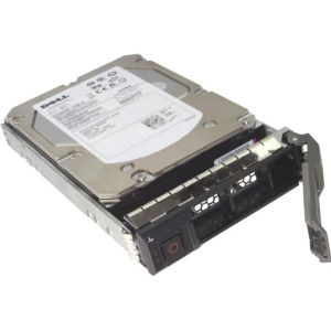 SERVER ACC HDD 10TB 7.2K NLSAS/3.5'' 13GEN 400-ANVL DELL