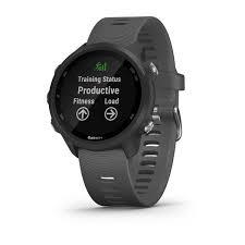 SMARTWATCH FORERUNNER 245/BK/SLATE 010-02120-10 GARMIN