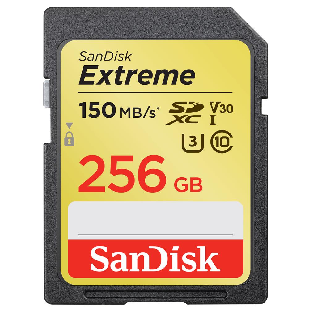 MEMORY SDXC 256GB UHS-1/SDSDXV5-256G-GNCIN SANDISK