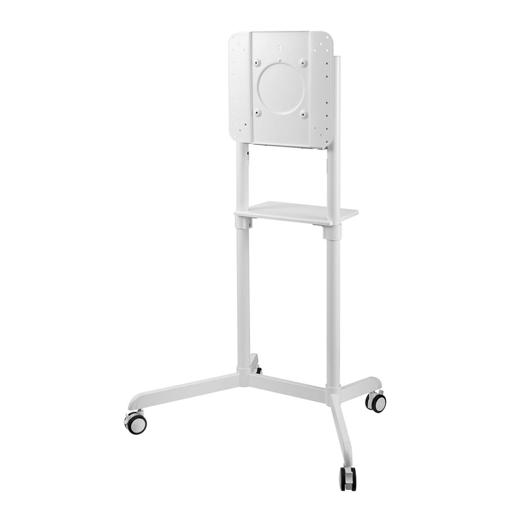 TV SET ACC FLOOR STAND/60-100" NS-M1250WHITE NEWSTAR