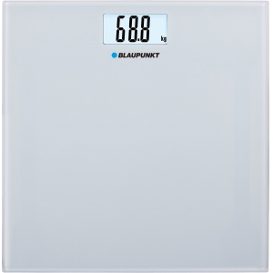 Blaupunkt BSP301