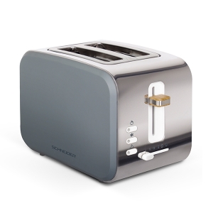 Schneider SCTON2G grey