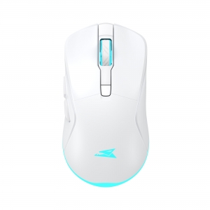 Baracuda BGM-122 Turtle White